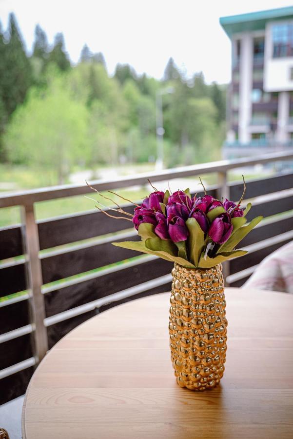 Silver Mountain Resort & Spa Poiana Braşov Dış mekan fotoğraf